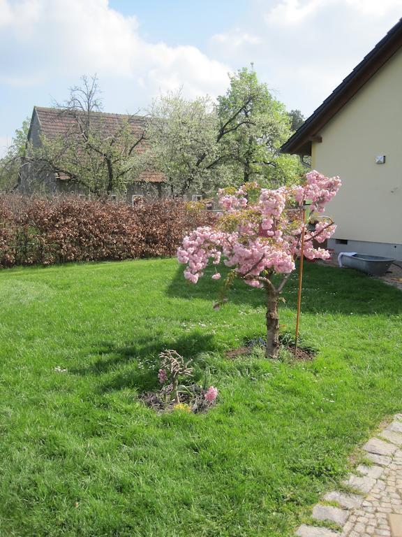 Haus Am Park Apartment Thallwitz Room photo